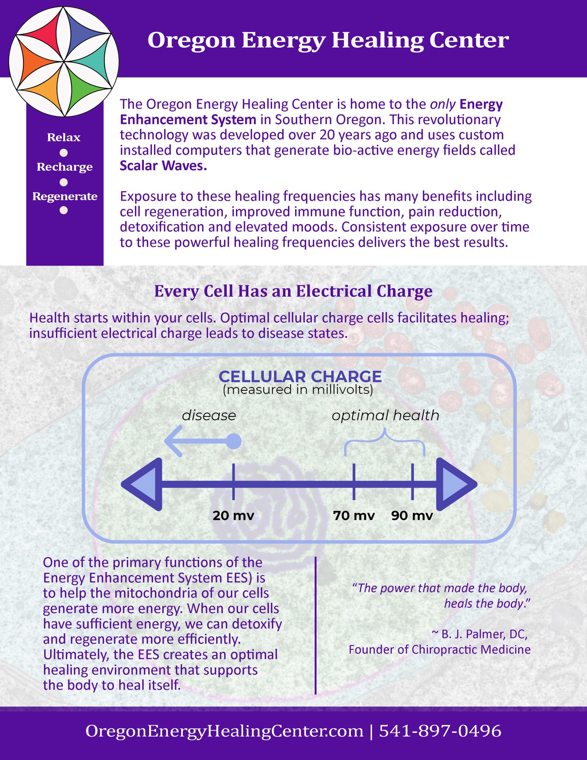 OEHC_Handout_FRONT_April2025-JJC_Preview